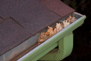 Gutter Maintenance Sarasota Springs